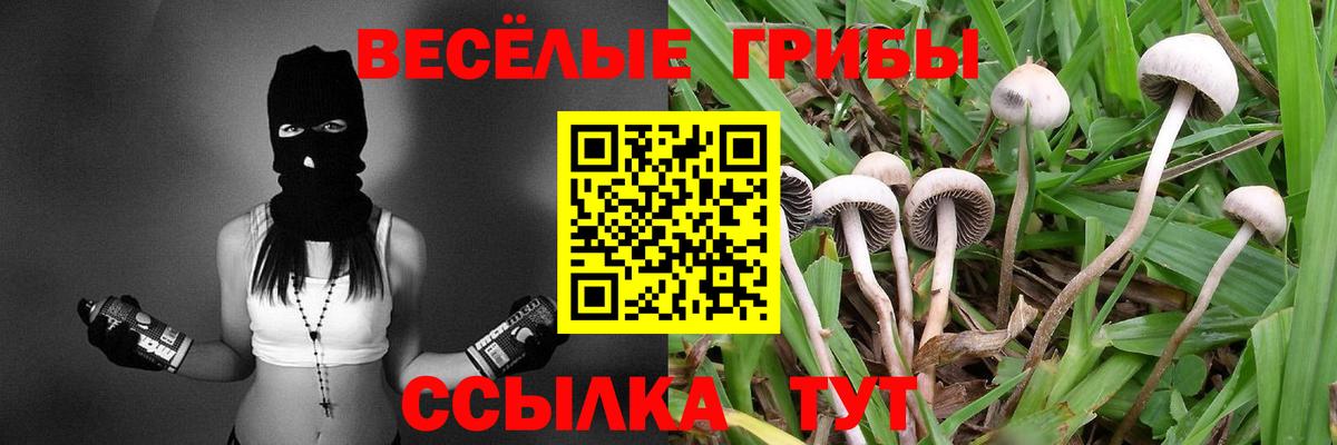Псилоцибиновые грибы Cubensis  Вход с VPN  Галлюциногенные грибы ЛСД  Заволжье 